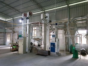 賢昌鎮鋅硒米加工廠 產業新引擎，鋪就村民致富路